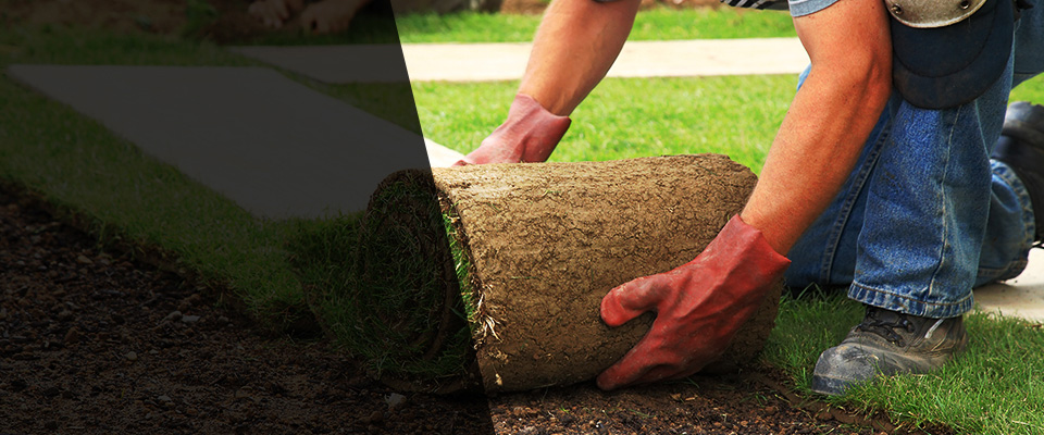 Pipe Creek Landscapers